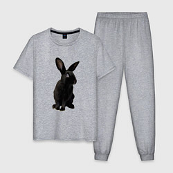 Мужская пижама Черный кролик на счастье