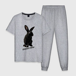 Пижама хлопковая мужская Приношу счастье, черный кролик, символ 2023 года, цвет: меланж