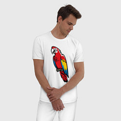 Пижама хлопковая мужская Попугай Ара на жердочке, цвет: белый — фото 2