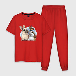Мужская пижама Влюбленные кролики