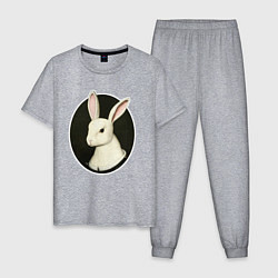 Пижама хлопковая мужская Средневековый кролик, цвет: меланж