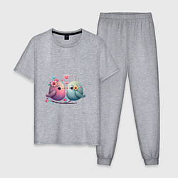 Пижама хлопковая мужская Влюбленные птички арт, цвет: меланж
