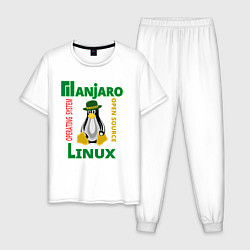 Пижама хлопковая мужская Линукс пингвин в шляпе, цвет: белый