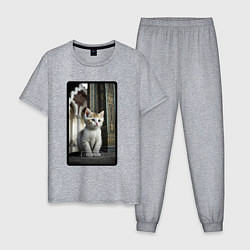Пижама хлопковая мужская Грозный котик, цвет: меланж