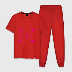 Пижама хлопковая мужская Шесть розовых фламинго, цвет: красный