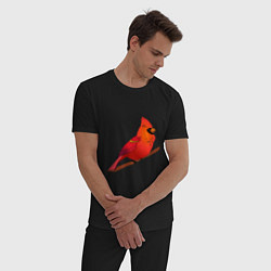 Пижама хлопковая мужская Птица красный кардинал, цвет: черный — фото 2