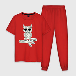 Пижама хлопковая мужская Серебряная сова на кольце, цвет: красный
