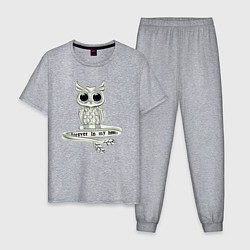 Пижама хлопковая мужская Серебряная сова на кольце, цвет: меланж