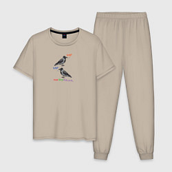 Пижама хлопковая мужская Ворона накаркала, цвет: миндальный