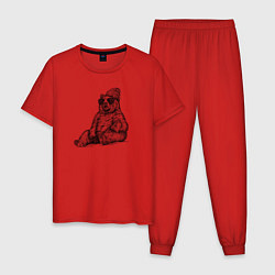 Пижама хлопковая мужская Медведь на чиле, цвет: красный