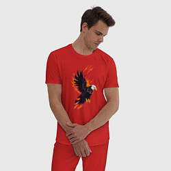 Пижама хлопковая мужская Орел парящая птица абстракция, цвет: красный — фото 2