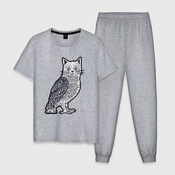 Пижама хлопковая мужская Кошка сова, цвет: меланж