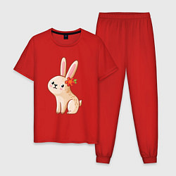 Пижама хлопковая мужская Милый зайчонок, цвет: красный