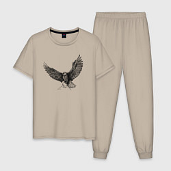 Пижама хлопковая мужская Орёл машет крыльями, цвет: миндальный