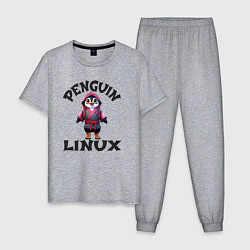 Пижама хлопковая мужская Система линукс пингвин в кимоно, цвет: меланж