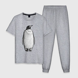 Пижама хлопковая мужская Пингвин стоит анфас, цвет: меланж