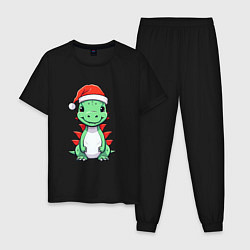 Пижама хлопковая мужская Маленький дракон-хранитель зимы, цвет: черный