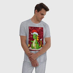 Пижама хлопковая мужская Рождественский дракон, цвет: меланж — фото 2