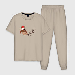 Пижама хлопковая мужская Новогодняя сова на ветке, цвет: миндальный