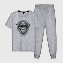 Пижама хлопковая мужская Шимпанзе голова, цвет: меланж