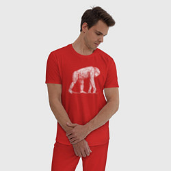 Пижама хлопковая мужская Белая шимпанзе, цвет: красный — фото 2