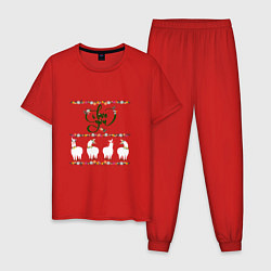 Пижама хлопковая мужская Четыре ламы альпаки: i love you, цвет: красный