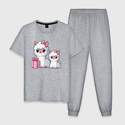 Пижама хлопковая мужская Альпаки с подарком, цвет: меланж