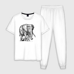Пижама хлопковая мужская Слон идет, цвет: белый