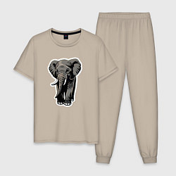 Мужская пижама Большой африканский слон