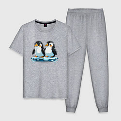 Пижама хлопковая мужская Два пингвина на льдине, цвет: меланж