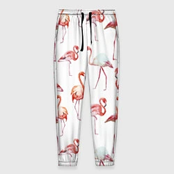 Мужские брюки Действия фламинго