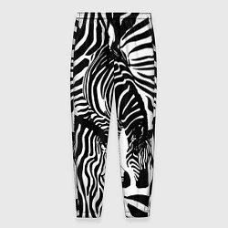 Брюки на резинке мужские Полосатая зебра, цвет: 3D-принт