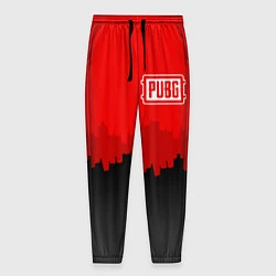 Мужские брюки PUBG: City Blood