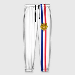 Мужские брюки Франция: лента с гербом