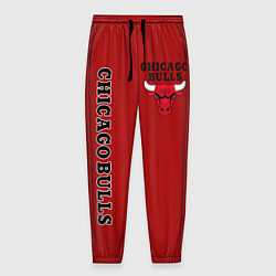 Мужские брюки CHICAGO BULLS