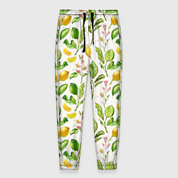 Мужские брюки Летний узор лимон ветки листья