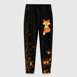 Мужские брюки Foxy - Paint