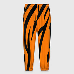Мужские брюки Текстура тиграtiger