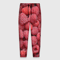 Брюки на резинке мужские Малина - ягоды, цвет: 3D-принт