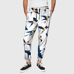 Брюки на резинке мужские Ласточки парят в небе, цвет: 3D-принт — фото 2