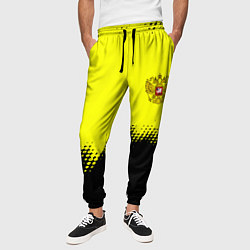 Брюки на резинке мужские Российская империя краски герб, цвет: 3D-принт — фото 2