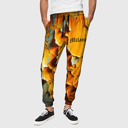 Брюки на резинке мужские Peeling plaster - Milano, цвет: 3D-принт — фото 2