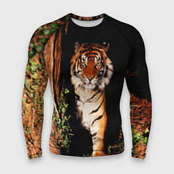 Мужской рашгард Тигр выглядывает из темноты - большая картинка