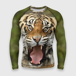 Рашгард мужской Удивленный тигр, цвет: 3D-принт