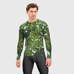 Рашгард мужской Зеленые Тропические Растения, цвет: 3D-принт — фото 2
