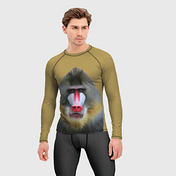 Рашгард мужской Мандрил обезьяна, цвет: 3D-принт — фото 2