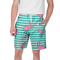 Мужские шорты Полосатые фламинго