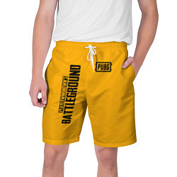 Шорты на шнурке мужские PUBG: Yellow Fashion, цвет: 3D-принт