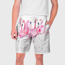 Мужские шорты Фламинго розовый на белом