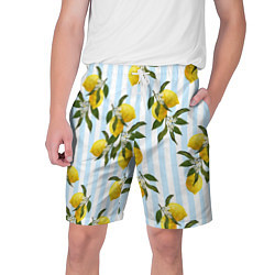 Шорты на шнурке мужские Лимоны, цвет: 3D-принт
